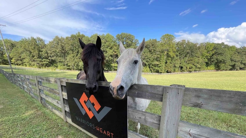 Both Warriors Heart Virginia and Warriors Heart Texas healing centers are located on 500+ acre ranches with hiking trails, wood and metal shops, gym and more that warriors have called the 