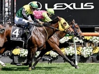 Outsider Knight’s Choice wins Melbourne Cup photo-finish thriller