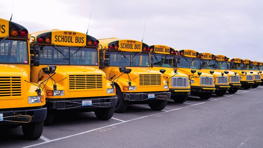 School buses lined up in a parking lot