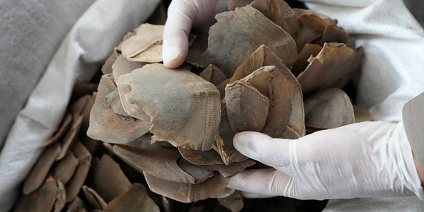 over 14 million worth of pangolin scales were seized by thai authorities in kalasin