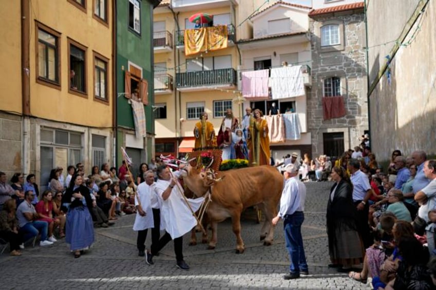 ox pulled floats with sacred images of mary draw thousands to portugals wine country procession