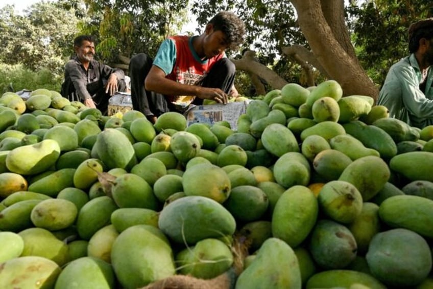 Pakistan is the world's fourth-largest mango producer but recent weather changes have upen