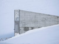 Palestinian seeds join Arctic ‘doomsday vault’