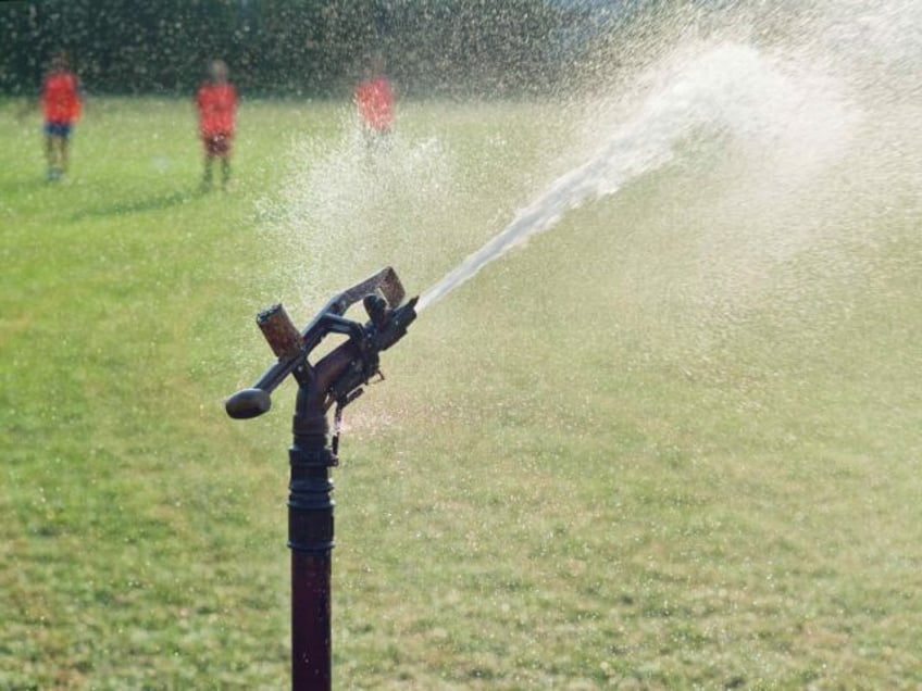 Lawn sprinkler (Getty)