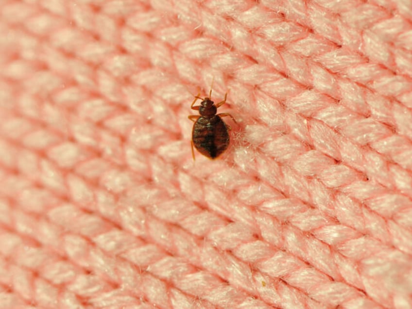 panic mode with just months to go until it hosts olympics paris turns attention to bedbug infestation