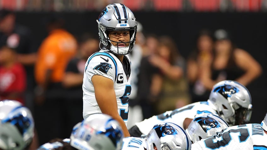 panthers bryce young throws first career td pass to hayden hurst tight end tosses ball into stands