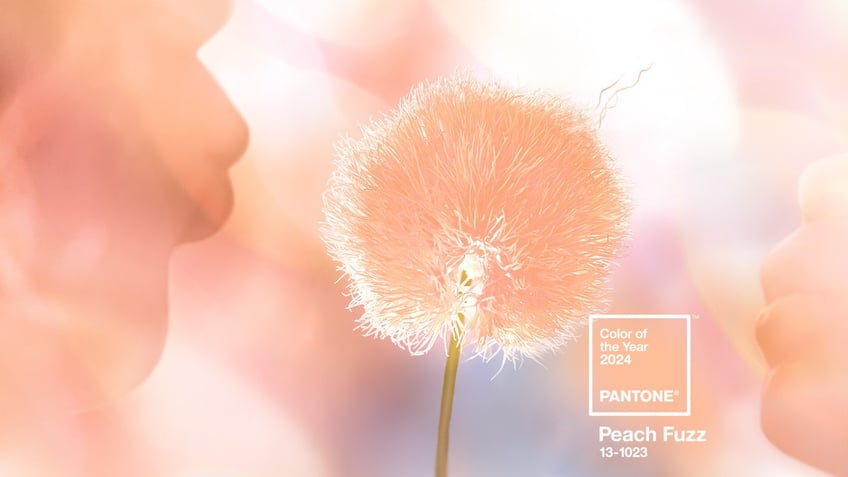 pantone reveals 2024 color of the year