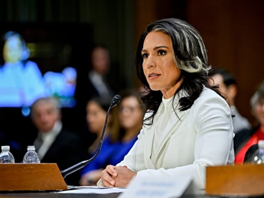 Tulsi Gabbard, former US Representative from Hawaii and US President Donald Trump's nomine