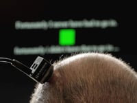 Paralyzed man speaks and sings with AI brain-computer interface