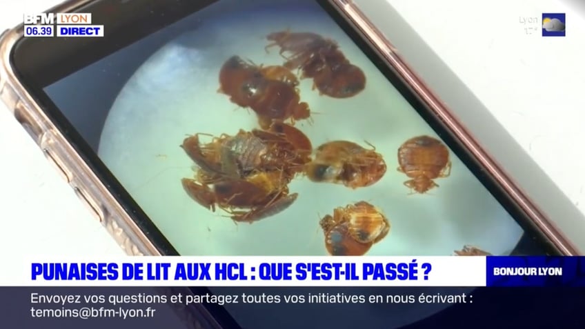 paris resident feels like a plague victim as bedbug infestation crawls into public spaces