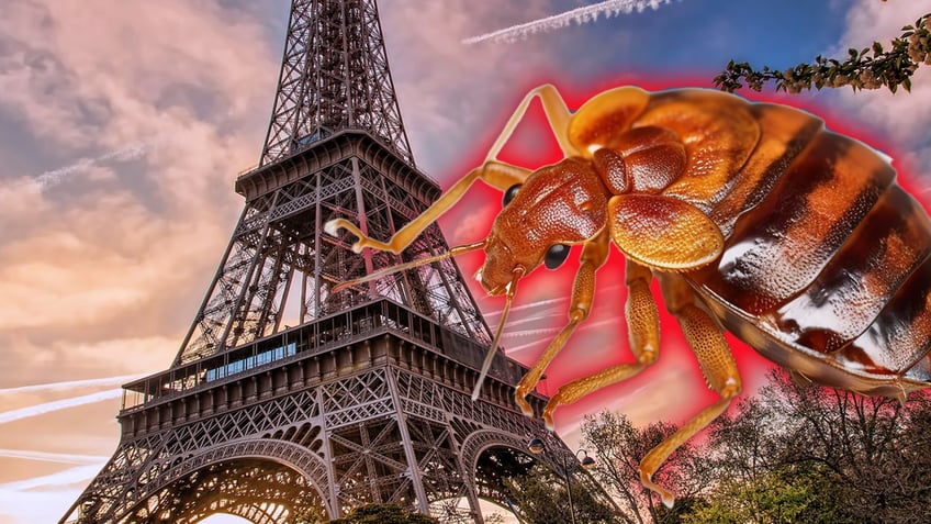 paris resident feels like a plague victim as bedbug infestation crawls into public spaces