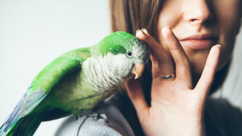 Woman with parrot