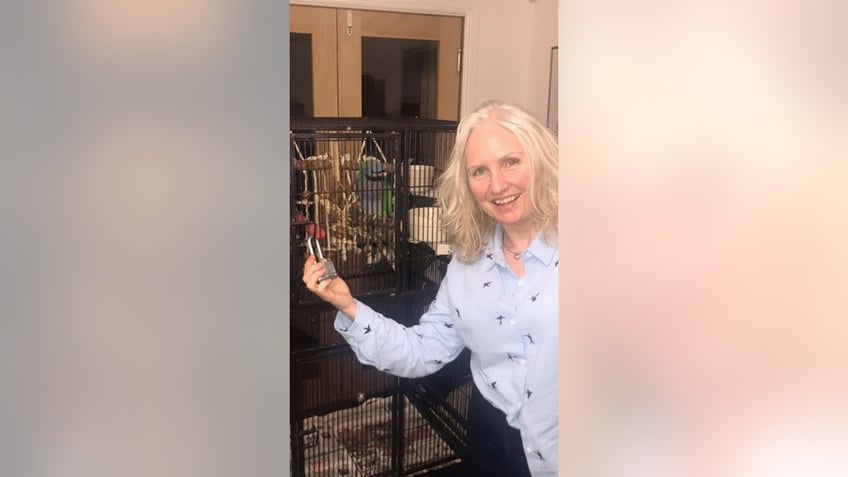 parrot who picked the lock on its cage is found 30 miles away from home in miracle moment