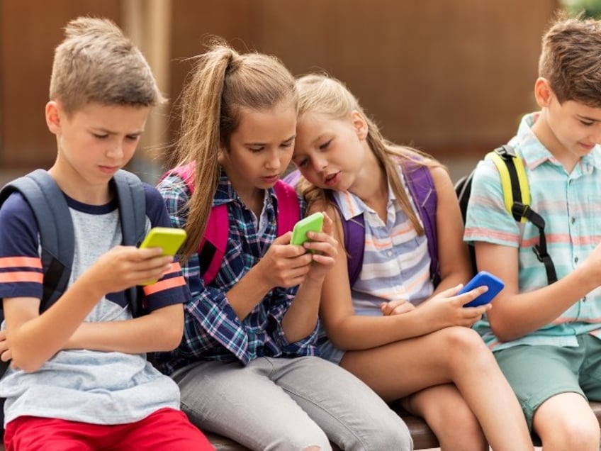 pediatric study excessive screen time translates into developmental delays in children