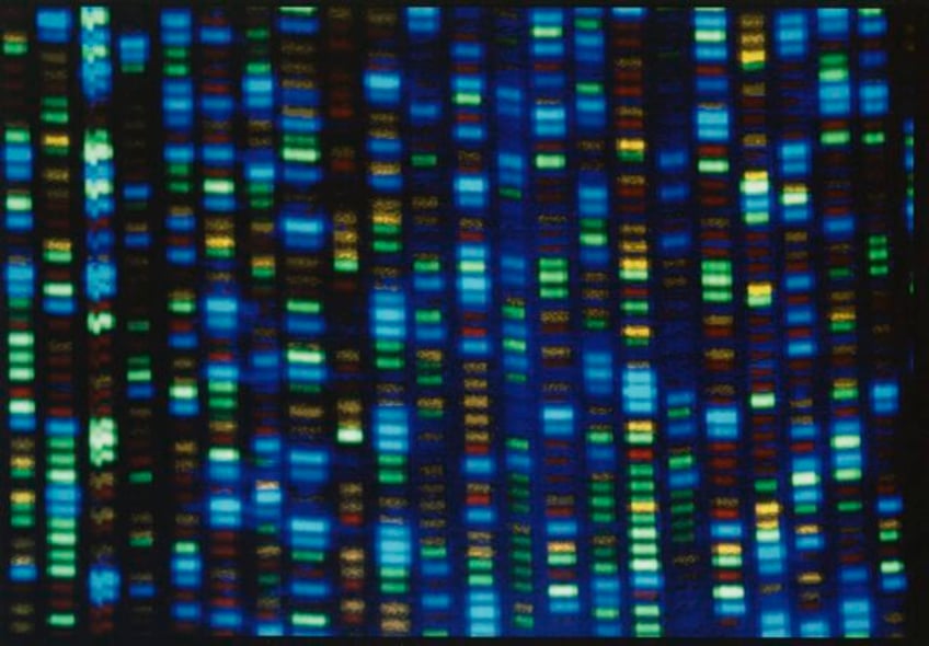 people of african ancestry are poorly represented in genetic studies a new effort would change that