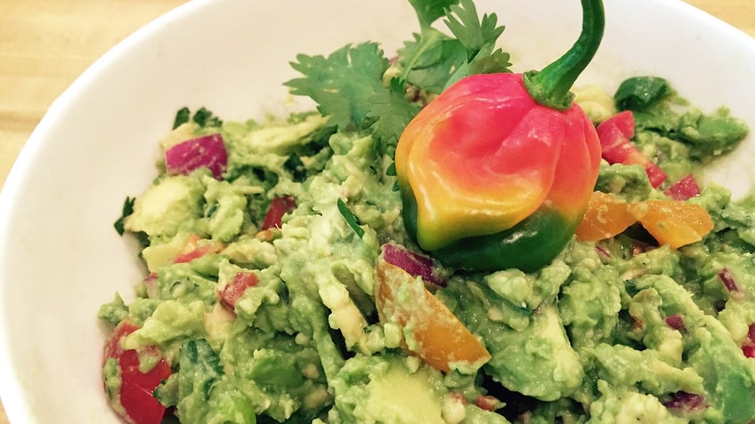 Guacamole with a pepper in the middle of it.