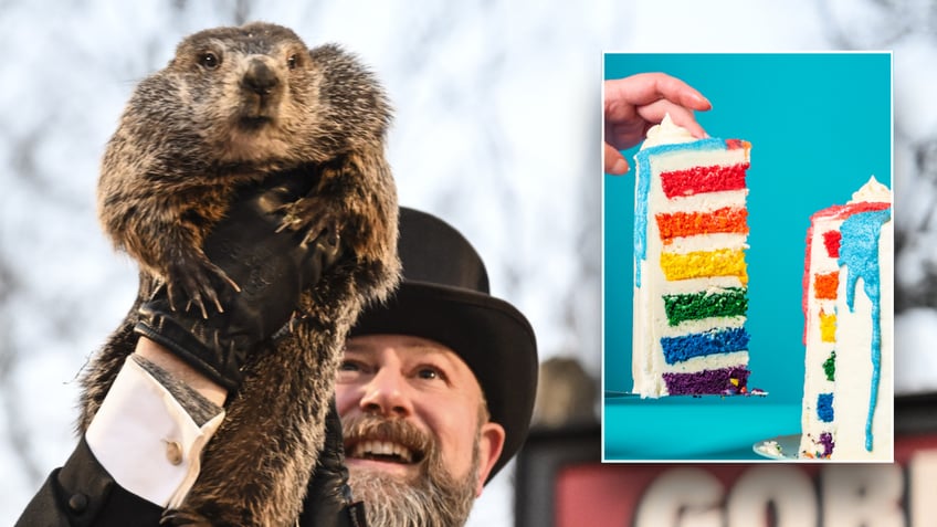 Split of groundhog, cake