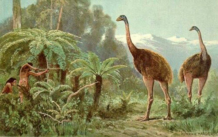 peter jackson invests in genetic project to bring giant bird back from extinction
