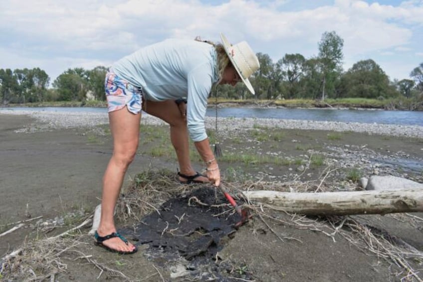 petroleum asphalt remains in yellowstone river even after cleanup from train derailment