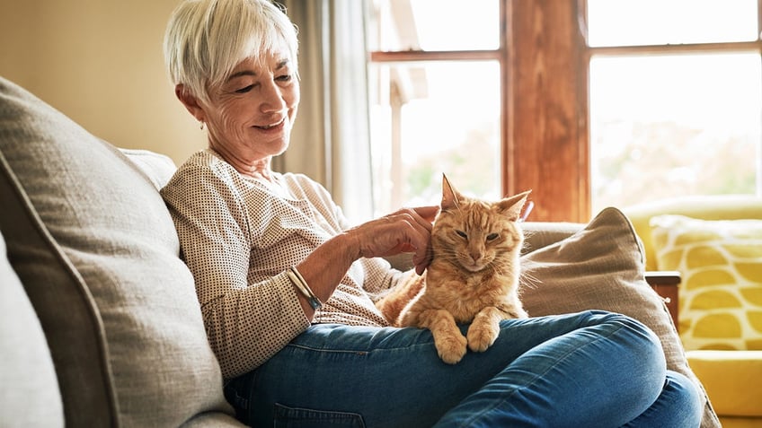 Woman with cat on lap