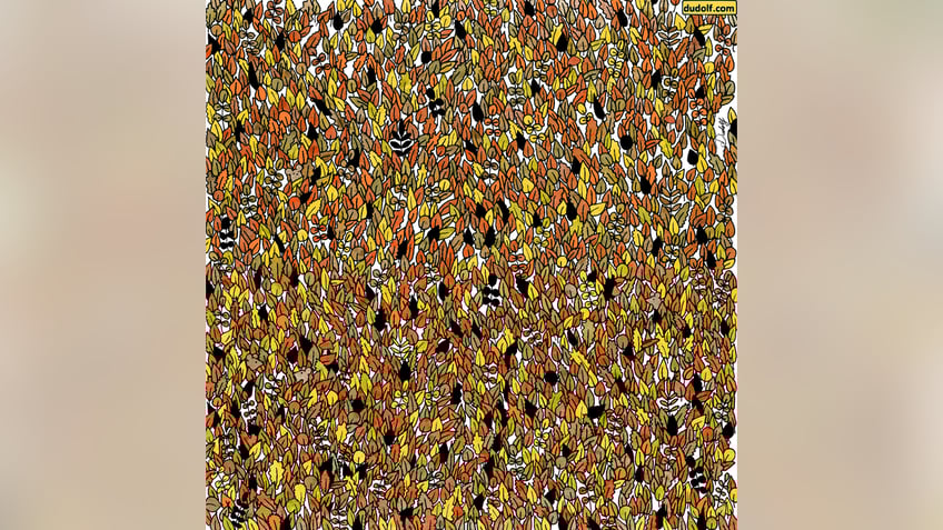 photo hunt how fast can you find the hidden mice and mushrooms