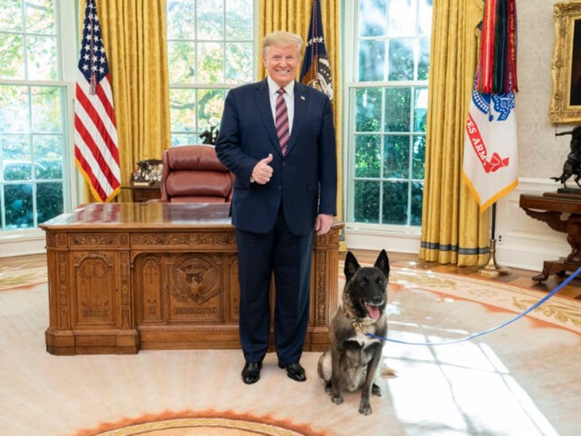 Donald Trump and K-9