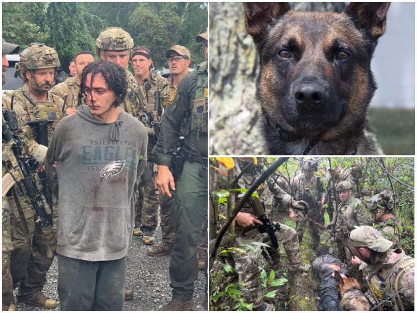 photos catch him he did k 9 yoda nabs escaped murderer danelo cavalcante in pennsylvania