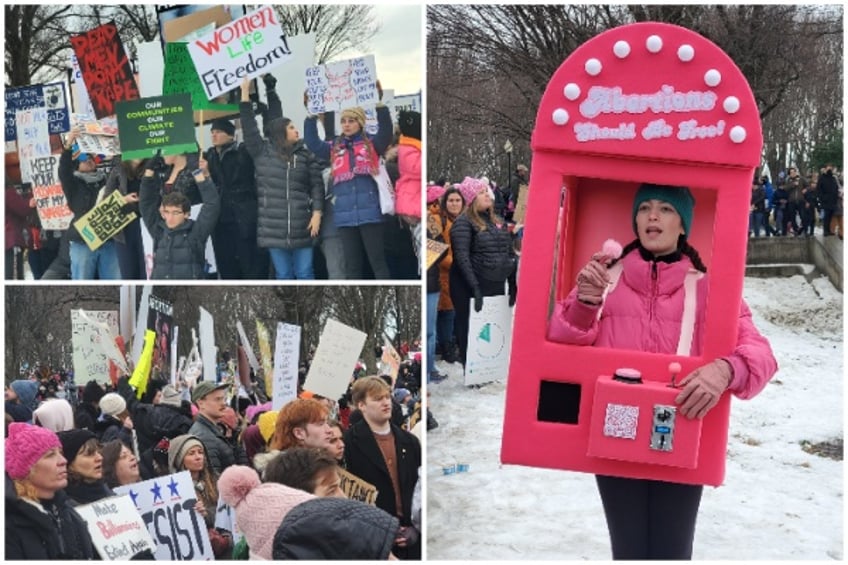 Pro-Abortion, Green Energy, and more gathered on the Washington Mall on January 18, 2025  (Lana Shadwick/Breitbart Texas)