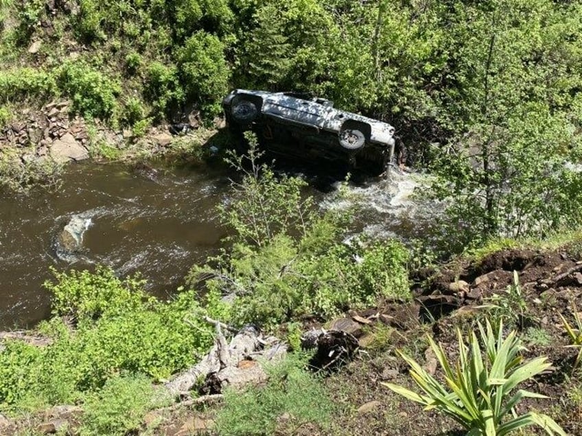 Dog runs 4 miles for help when owner fell in ravine