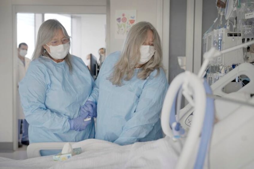 pig kidney works a record 2 months in donated body raising hope for animal human transplants