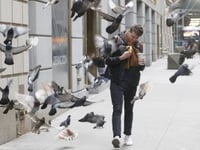 Pigeon Fest to celebrate New York’s most controversial birds