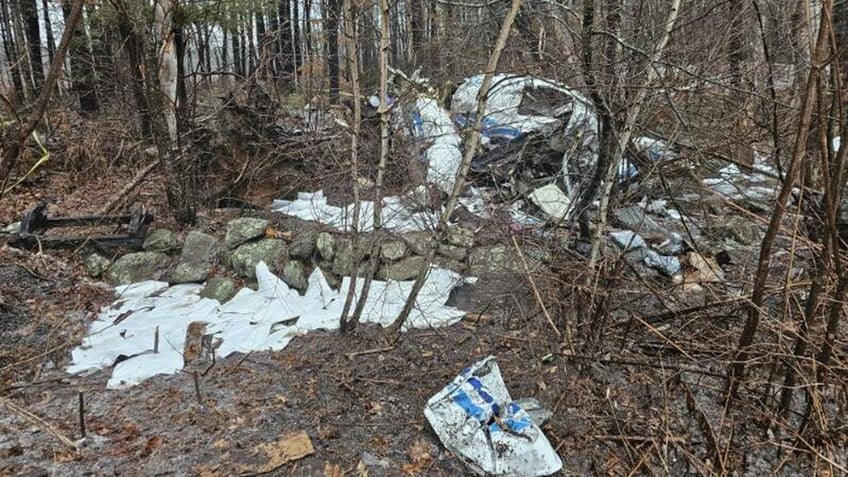 Wreckage of plane crash in a neighborhood surrounding trees