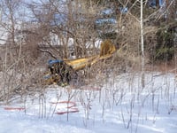 Pilot walks away unscathed after small plane crashes near Hampton Airfield in New Hampshire