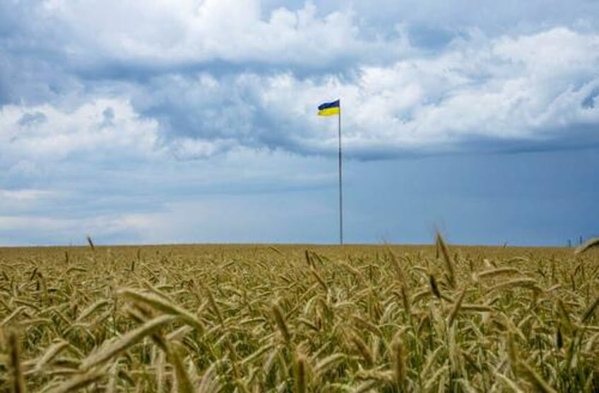 poland will continue to block ukrainian grain whatever the eu commission decides