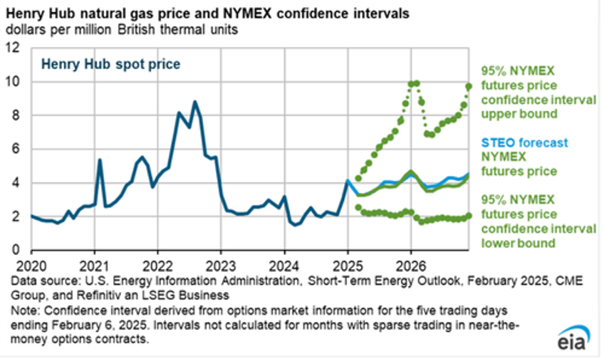 polar vortex forces eia to hike 2025 us natgas price forecast by 20