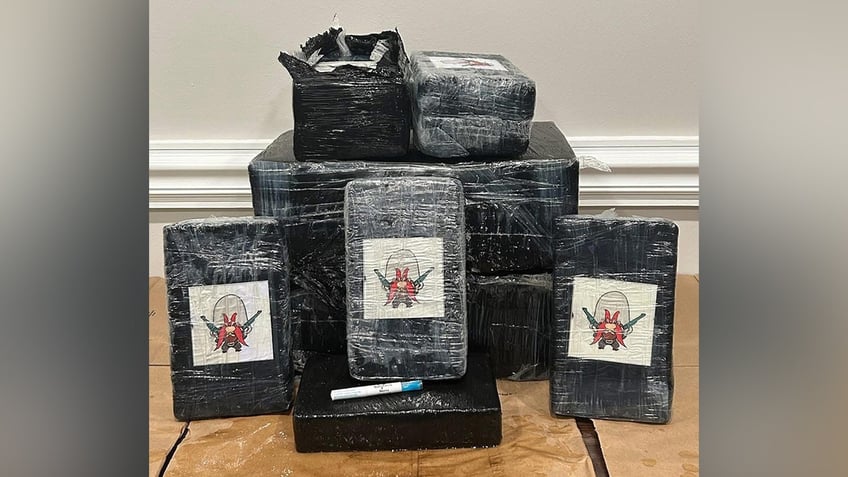 Cocaine with a cartoon character on the package that washed up on a Florida shore