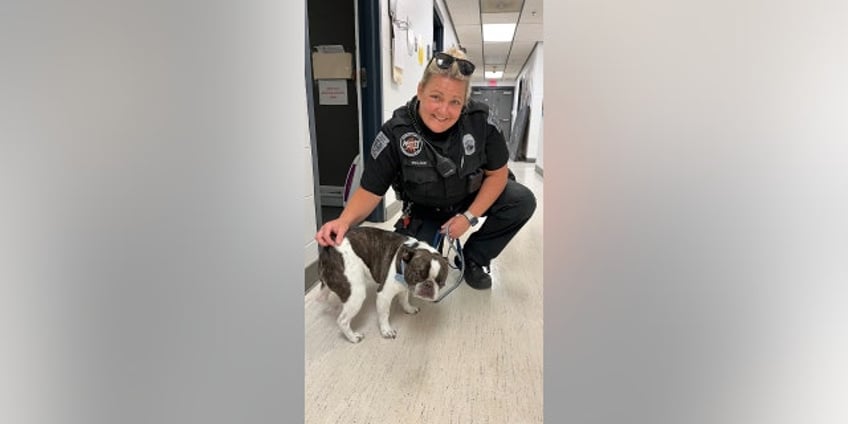 police speak out after pennsylvania dog is abandoned at airport by owner hard for me to wrap my head around