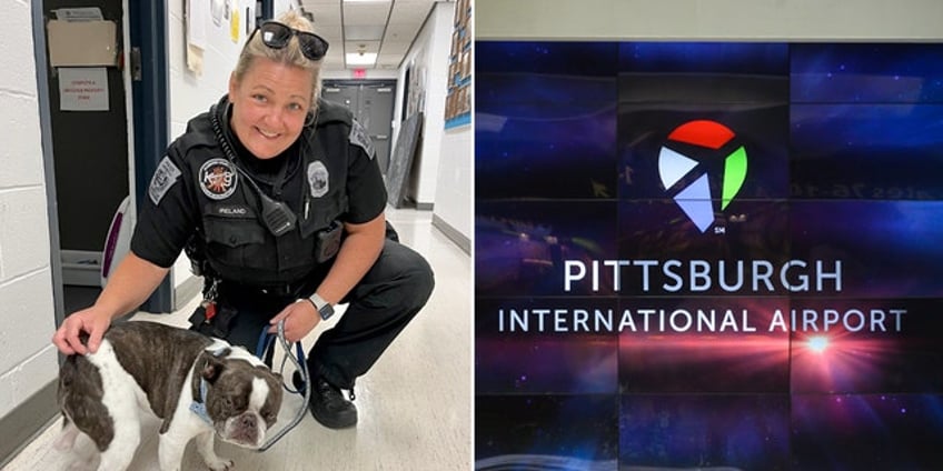 police speak out after pennsylvania dog is abandoned at airport by owner hard for me to wrap my head around