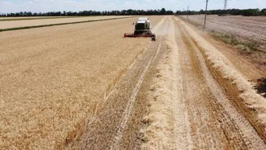 polish farmers plan general strike blockade of ukraine border