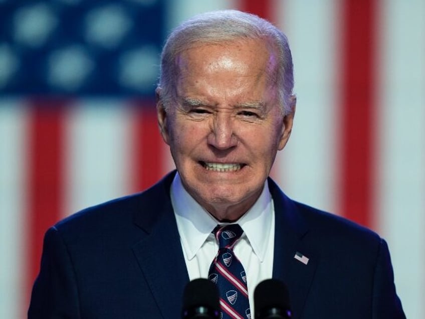 President Joe Biden speaks in Blue Bell, Pa., Friday, Jan. 5, 2024. (AP Photo/Matt Rourke)