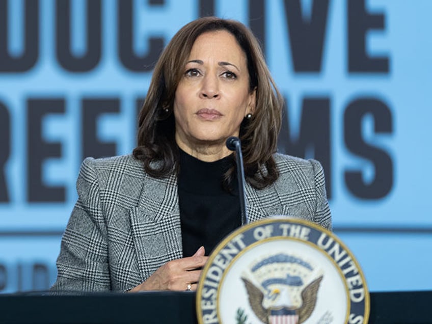 Vice President Kamala Harris participates in a roundtable conversation at a "Fight for Rep