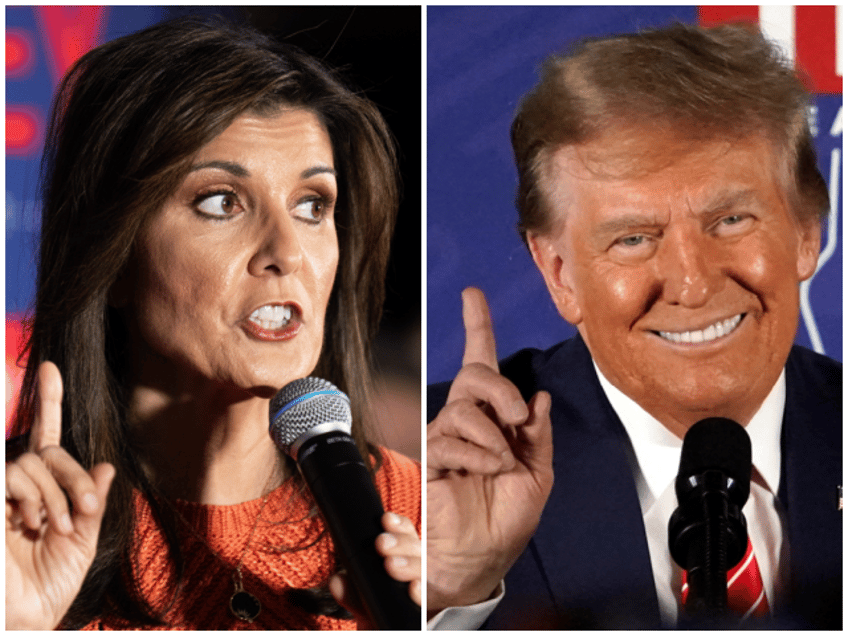 poll donald trump up 68 points on nikki haley