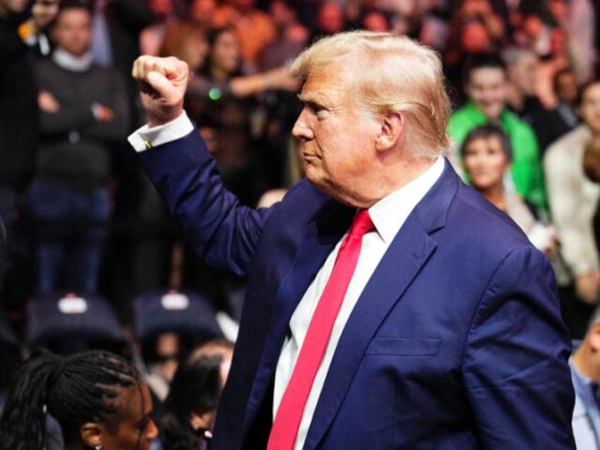 NEW YORK, NEW YORK - NOVEMBER 11: Former U.S. President Donald Trump is seen during the UFC 295 event at Madison Square Garden on November 11, 2023 in New York City. (Photo by Chris Unger/Zuffa LLC via Getty Images)