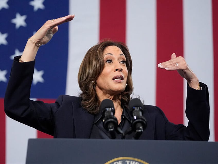 Democratic presidential nominee Vice President Kamala Harris speaks during an event at the