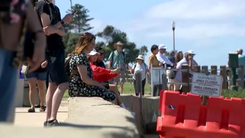 popular southern california beach indefinitely shut down to protect sea lions