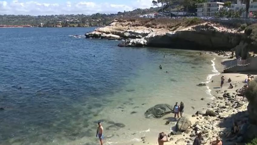 popular southern california beach indefinitely shut down to protect sea lions