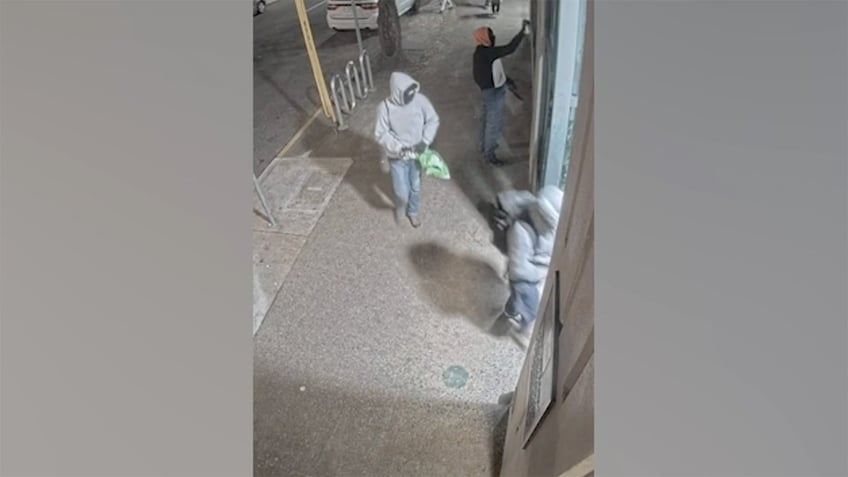 Surveillance video of vandals