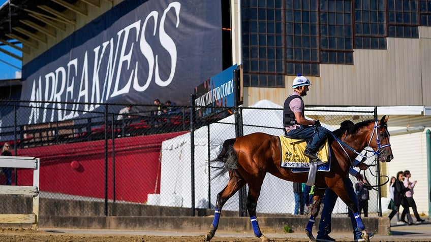 Mystik Dan leaves the track