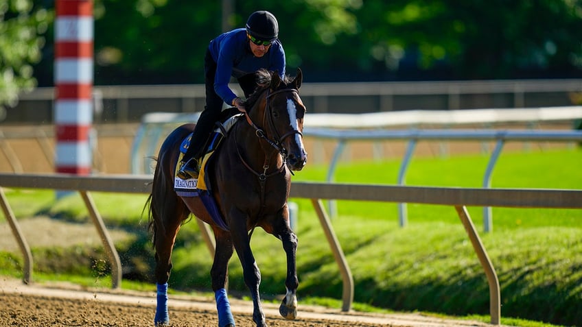 Imagination works out at Preakness