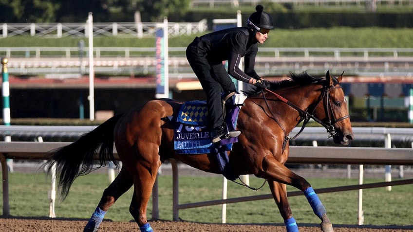 Muth at the Breeders' Cup